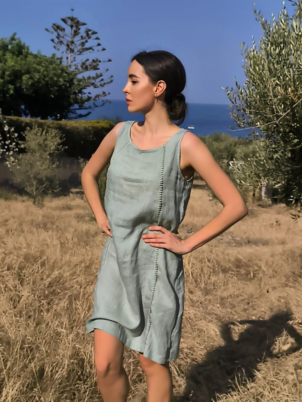 PLS Linen dress